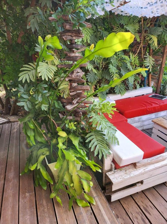 Logement De Charme Avec Piscine Et Jacuzzi Carnoules  Extérieur photo
