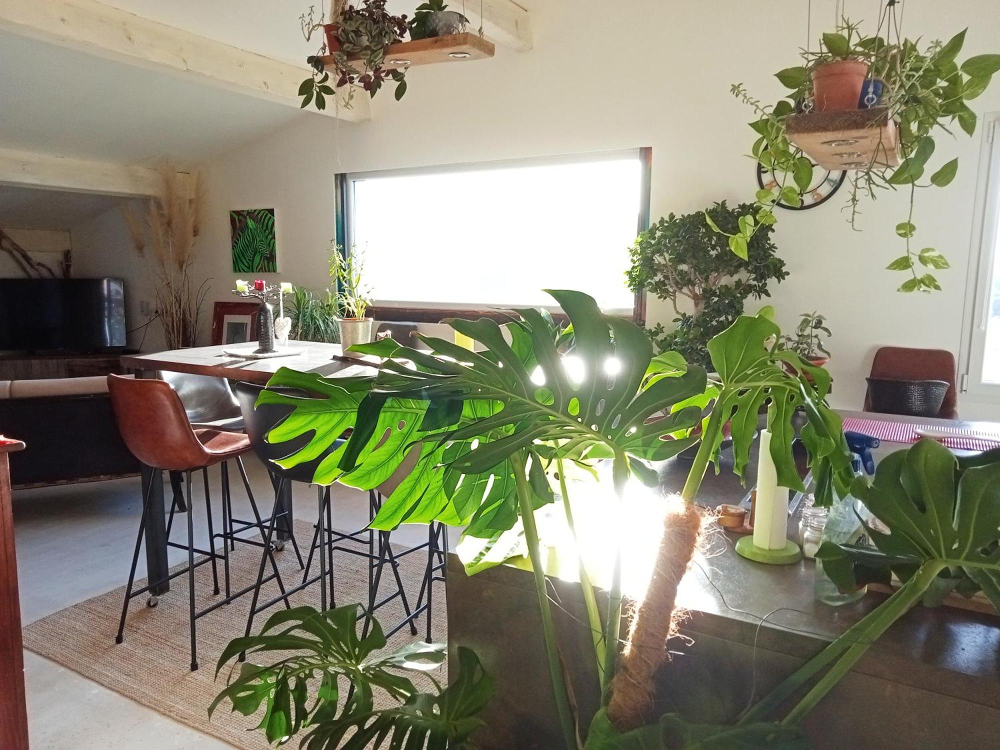 Logement De Charme Avec Piscine Et Jacuzzi Carnoules  Extérieur photo